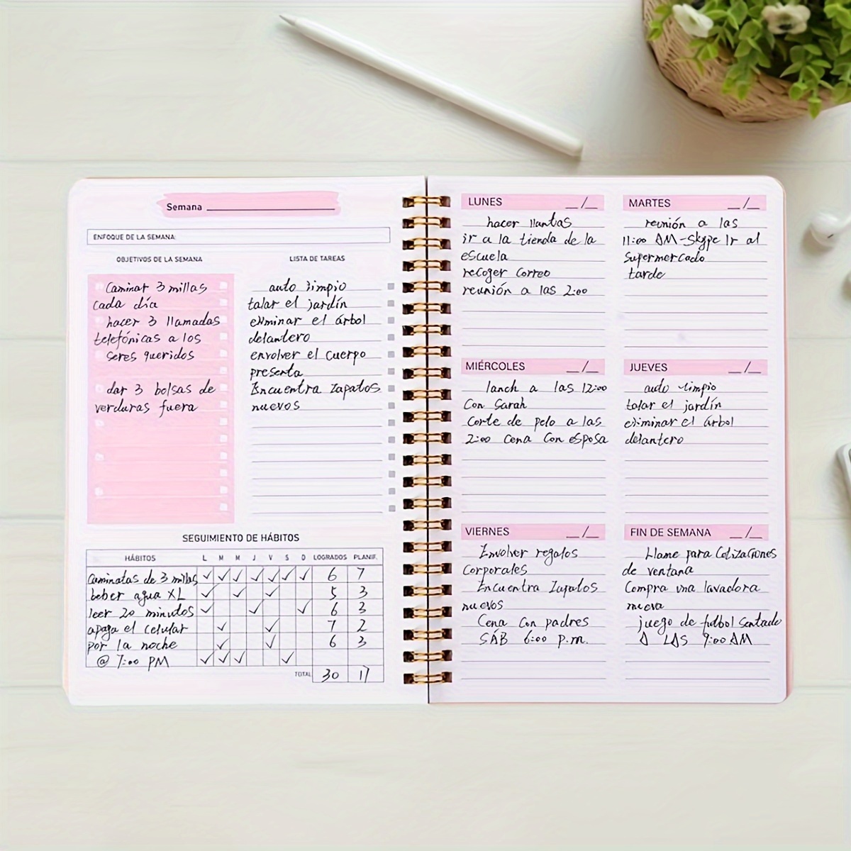 Planificador semanal en inglés - Meal Prep Planner reseña y precio